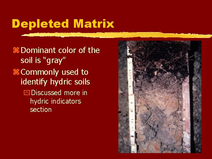 Depleted Matrix z Dominant color of the soil is “gray” z Commonly used to