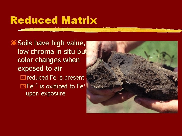 Reduced Matrix z Soils have high value, low chroma in situ but color changes