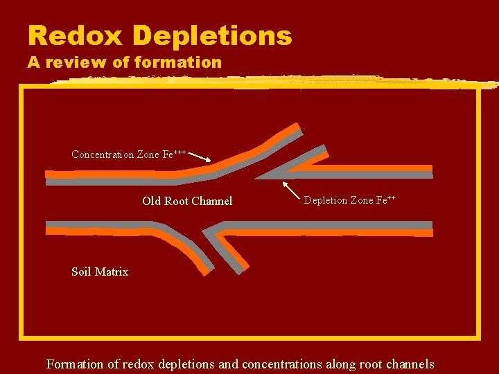 Redox Depletions A review of formation Concentration Zone Fe+++ Old Root Channel Depletion Zone