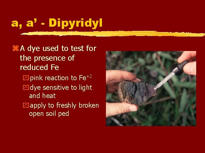 a, a’ - Dipyridyl z A dye used to test for the presence of