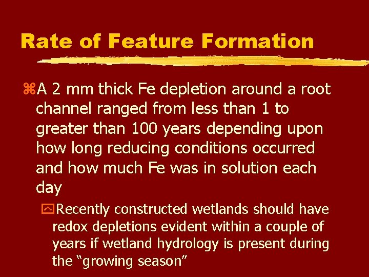 Rate of Feature Formation z. A 2 mm thick Fe depletion around a root