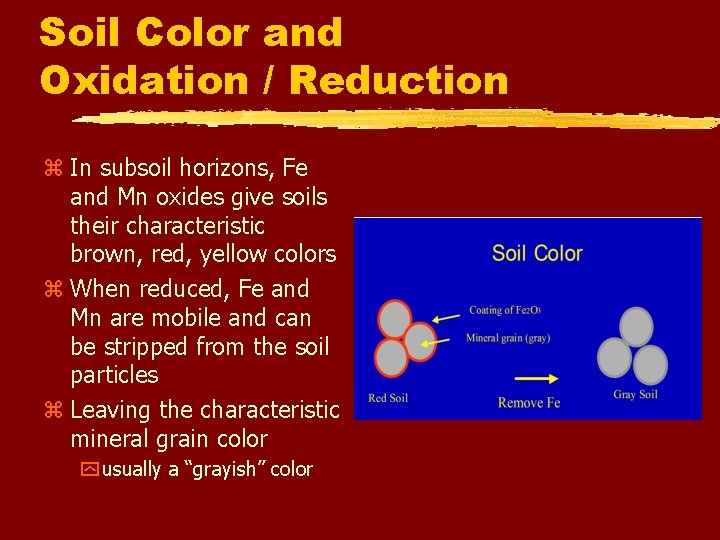 Soil Color and Oxidation / Reduction z In subsoil horizons, Fe and Mn oxides