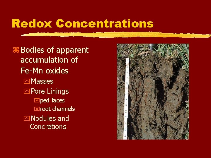 Redox Concentrations z Bodies of apparent accumulation of Fe-Mn oxides y. Masses y. Pore