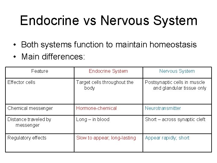 Endocrine vs Nervous System • Both systems function to maintain homeostasis • Main differences: