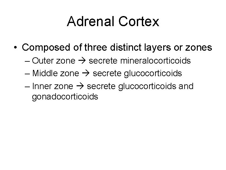 Adrenal Cortex • Composed of three distinct layers or zones – Outer zone secrete