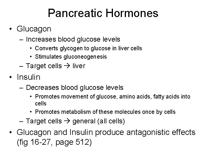 Pancreatic Hormones • Glucagon – Increases blood glucose levels • Converts glycogen to glucose
