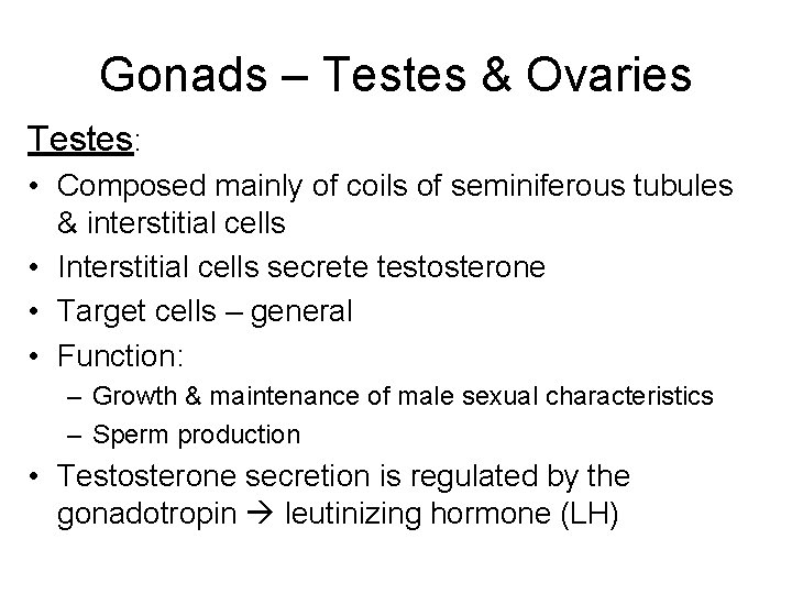 Gonads – Testes & Ovaries Testes: • Composed mainly of coils of seminiferous tubules