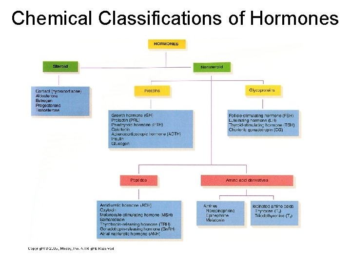 Chemical Classifications of Hormones 