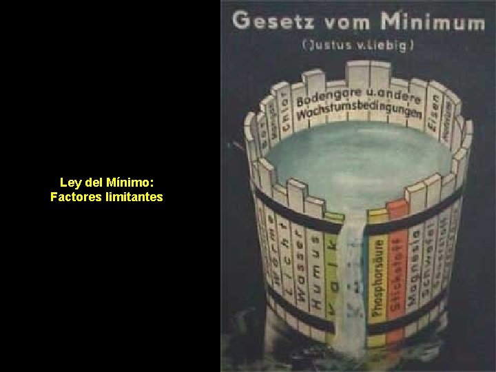 Ley del Mínimo: Factores limitantes Ley del Mínimo: Factores limitantes