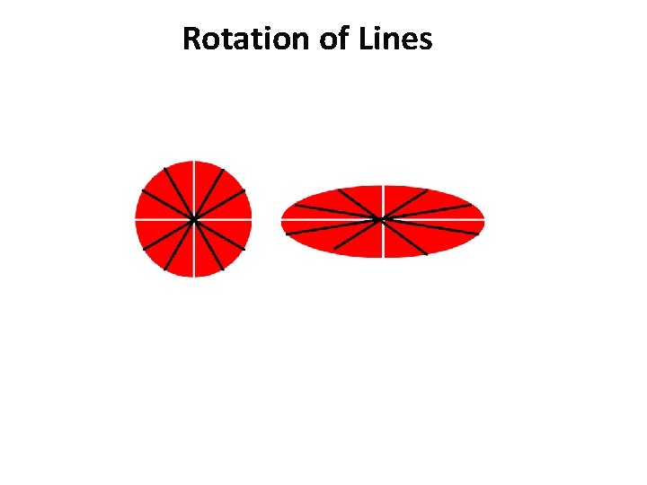 Rotation of Lines 