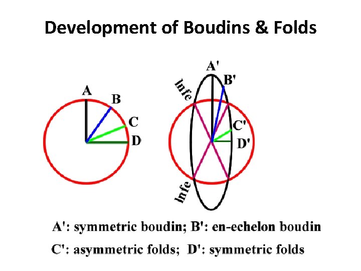 Development of Boudins & Folds. 