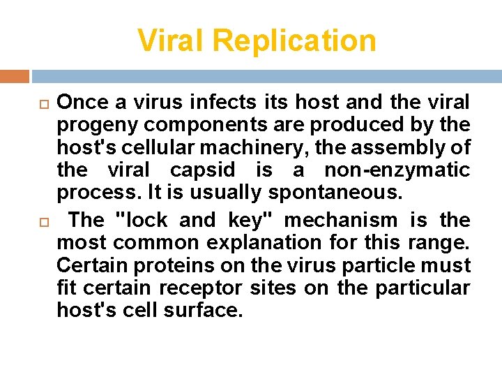 Viral Replication Once a virus infects its host and the viral progeny components are