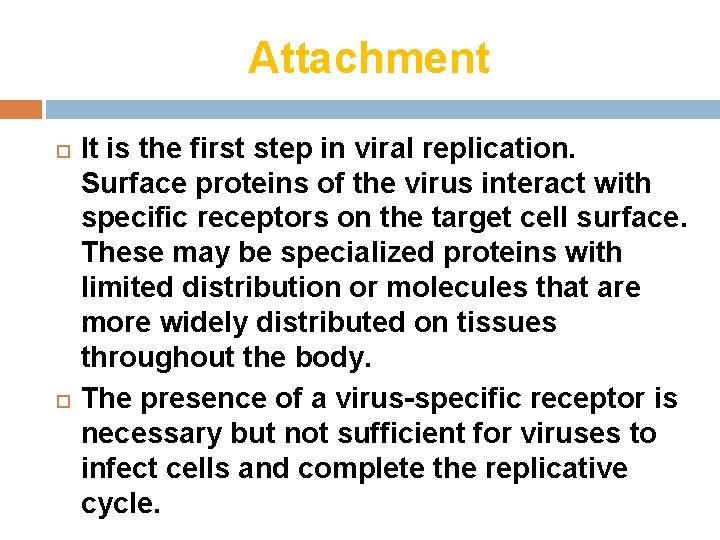 Attachment It is the first step in viral replication. Surface proteins of the virus