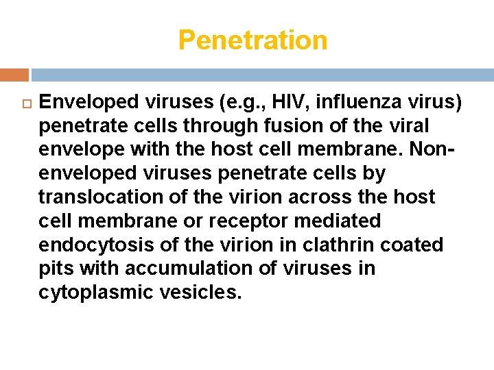 Penetration Enveloped viruses (e. g. , HIV, influenza virus) penetrate cells through fusion of