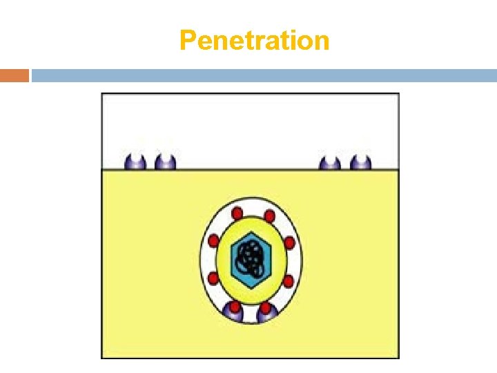 Penetration 