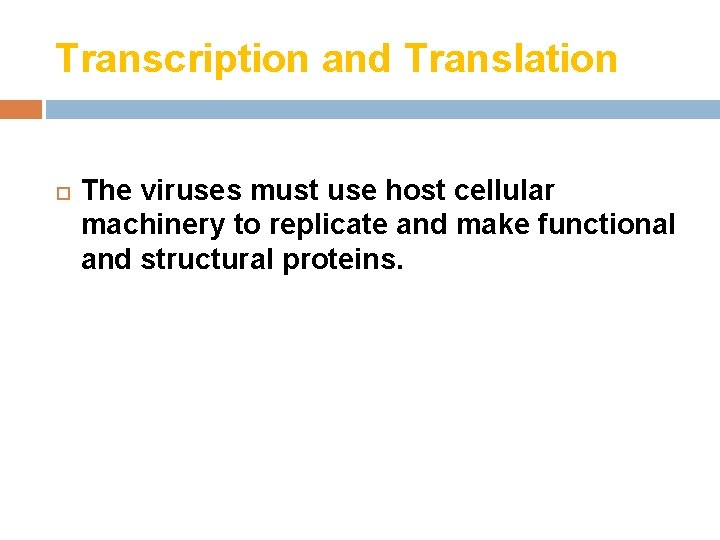 Transcription and Translation The viruses must use host cellular machinery to replicate and make