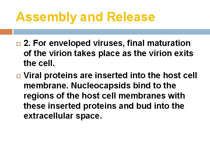 Assembly and Release 2. For enveloped viruses, final maturation of the virion takes place