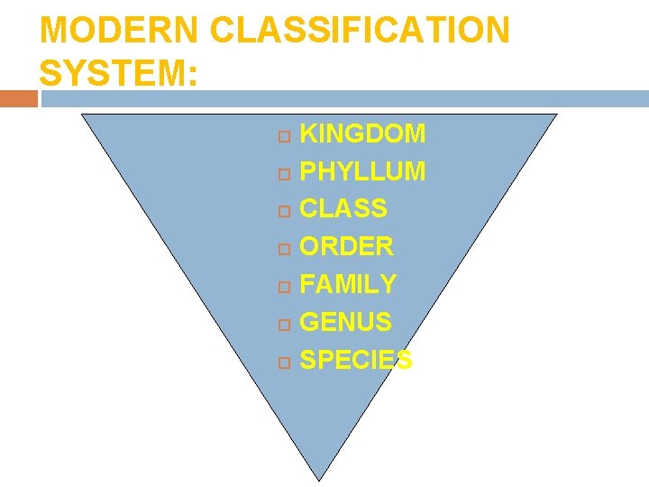 MODERN CLASSIFICATION SYSTEM: KINGDOM PHYLLUM CLASS ORDER FAMILY GENUS SPECIES 