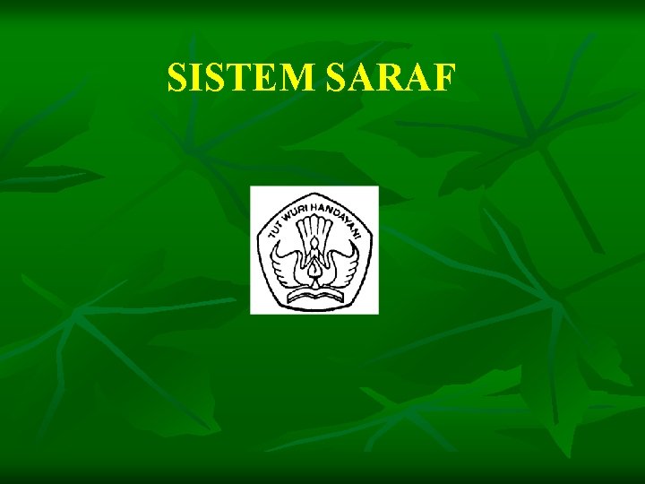 SISTEM SARAF 