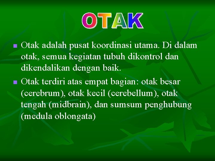 n n Otak adalah pusat koordinasi utama. Di dalam otak, semua kegiatan tubuh dikontrol