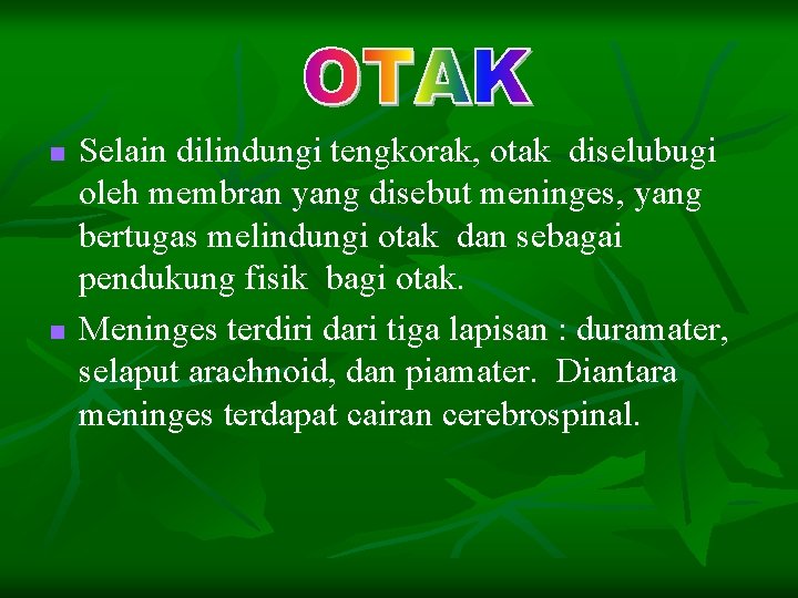 n n Selain dilindungi tengkorak, otak diselubugi oleh membran yang disebut meninges, yang bertugas