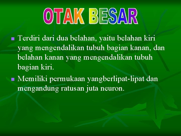 n n Terdiri dari dua belahan, yaitu belahan kiri yang mengendalikan tubuh bagian kanan,