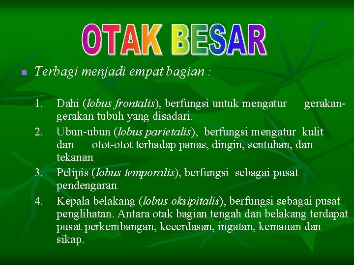 n Terbagi menjadi empat bagian : 1. 2. 3. 4. Dahi (lobus frontalis), berfungsi