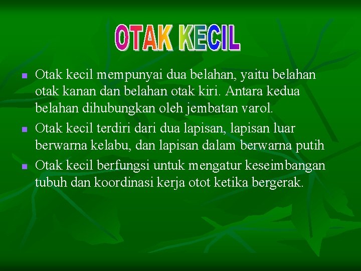 n n n Otak kecil mempunyai dua belahan, yaitu belahan otak kanan dan belahan