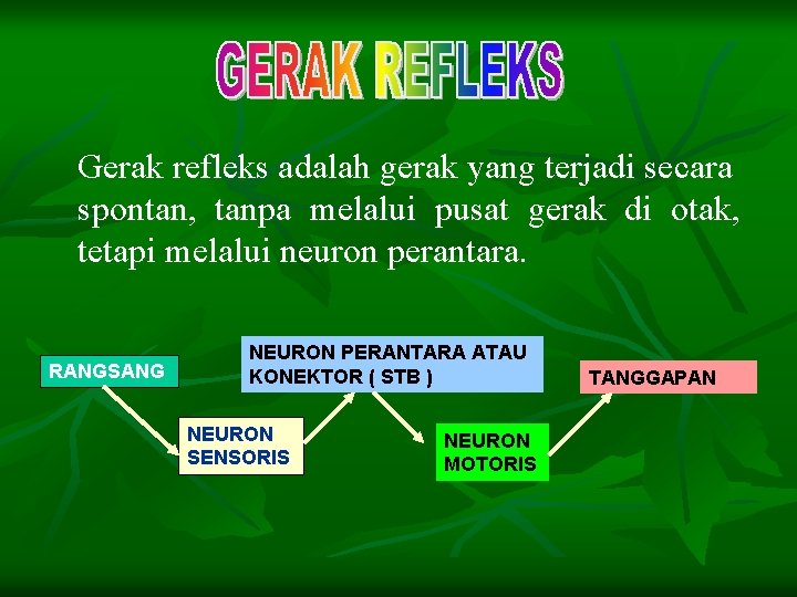 Gerak refleks adalah gerak yang terjadi secara spontan, tanpa melalui pusat gerak di otak,