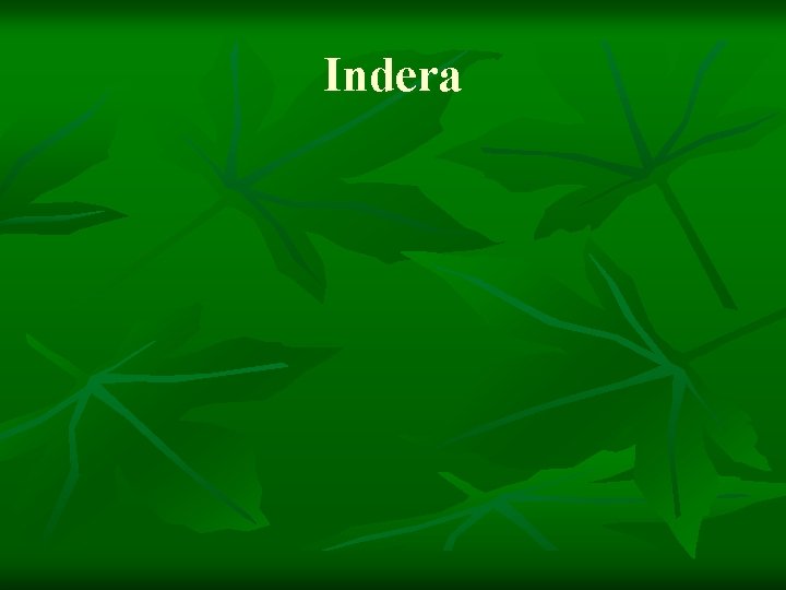 Indera 