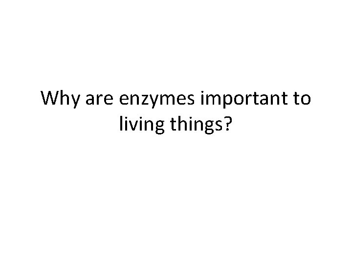 Why are enzymes important to living things? 