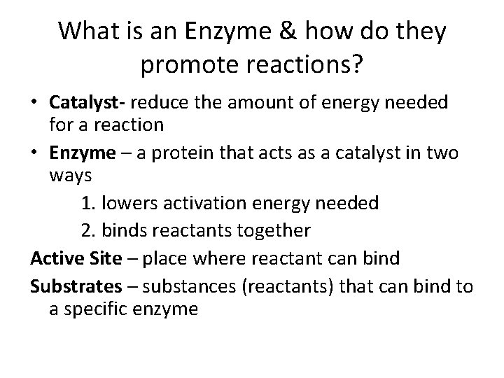 What is an Enzyme & how do they promote reactions? • Catalyst- reduce the
