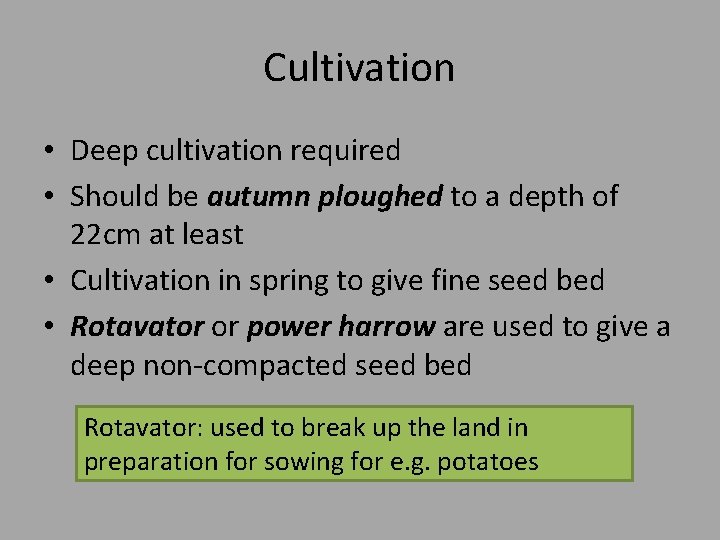 Cultivation • Deep cultivation required • Should be autumn ploughed to a depth of