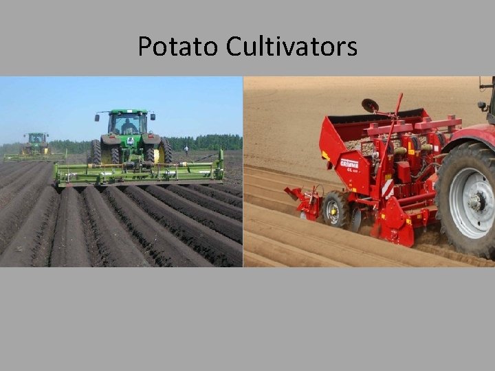 Potato Cultivators 