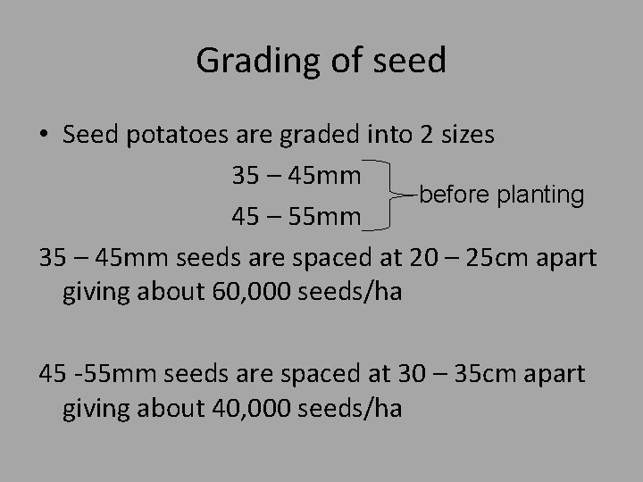 Grading of seed • Seed potatoes are graded into 2 sizes 35 – 45