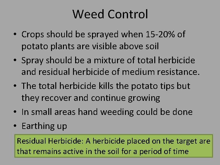 Weed Control • Crops should be sprayed when 15 -20% of potato plants are