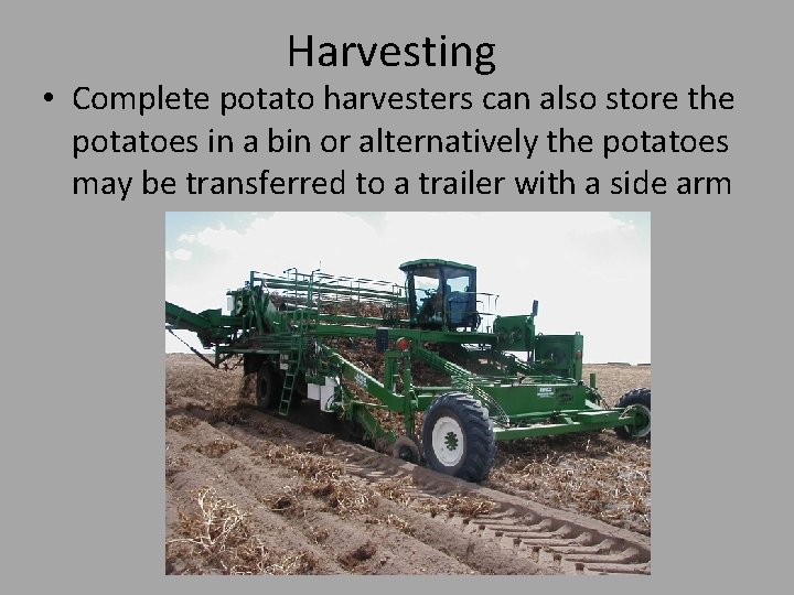 Harvesting • Complete potato harvesters can also store the potatoes in a bin or