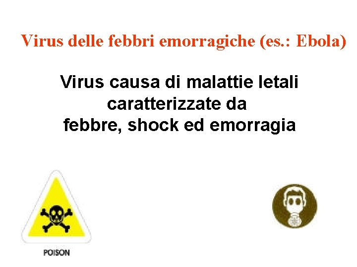 Virus delle febbri emorragiche (es. : Ebola) Virus causa di malattie letali caratterizzate da
