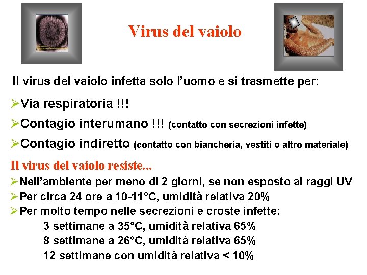 Virus del vaiolo Il virus del vaiolo infetta solo l’uomo e si trasmette per: