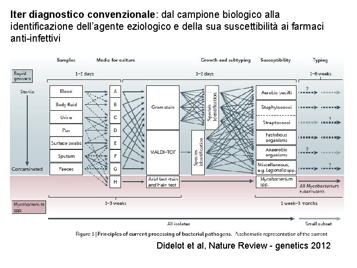 Iter diagnostico convenzionale: dal campione biologico alla identificazione dell’agente eziologico e della suscettibilità ai