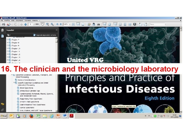 16. The clinician and the microbiology laboratory 