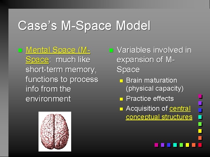 Case’s M-Space Model n Mental Space (MSpace: much like short-term memory, functions to process
