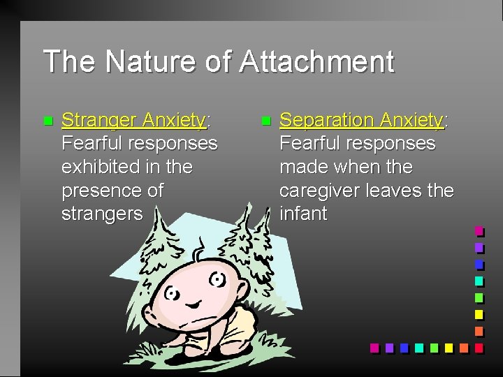 The Nature of Attachment n Stranger Anxiety: Fearful responses exhibited in the presence of