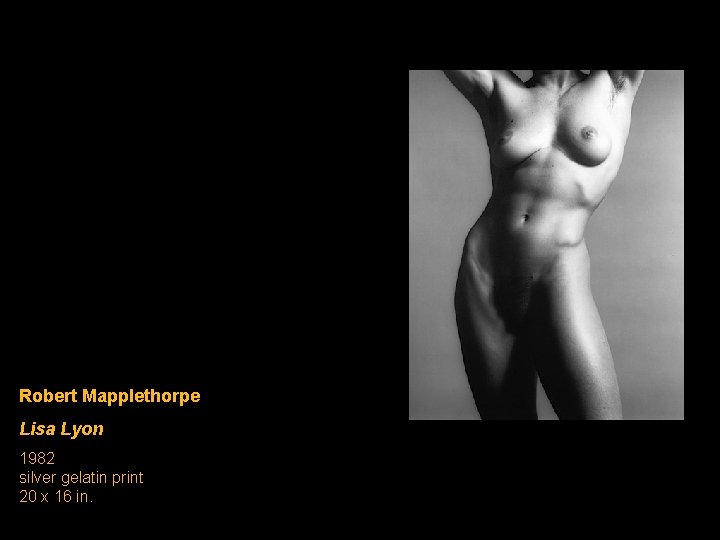 Robert Mapplethorpe Lisa Lyon 1982 silver gelatin print 20 x 16 in. Robert Mapplethorpe Lisa Lyon 1982 silver gelatin print 20 x 16 in.
