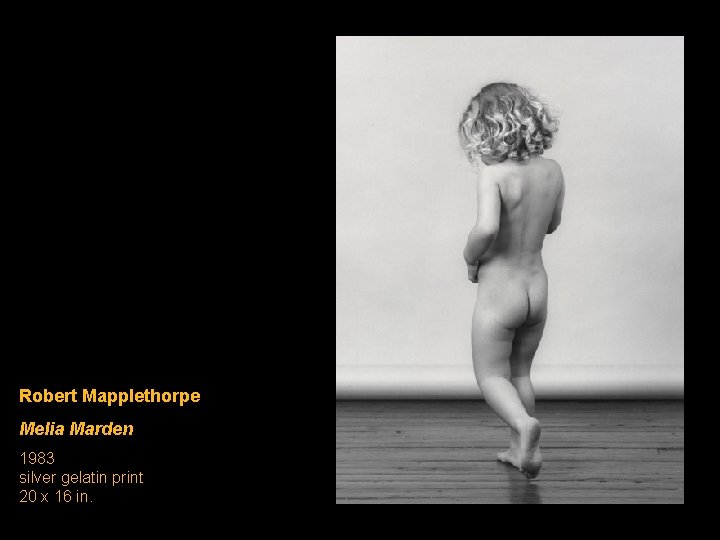 Robert Mapplethorpe Melia Marden 1983 silver gelatin print 20 x 16 in. Robert Mapplethorpe Melia Marden 1983 silver gelatin print 20 x 16 in.
