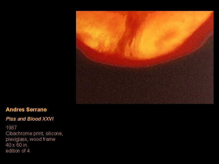 Andres Serrano Piss and Blood XXVI 1987 Cibachrome print, silicone, plexiglass, wood frame 40 Andres Serrano Piss and Blood XXVI 1987 Cibachrome print, silicone, plexiglass, wood frame 40