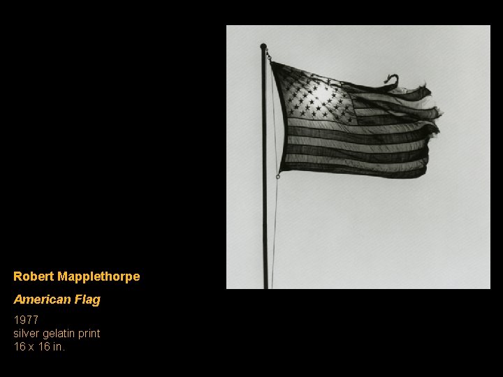 Robert Mapplethorpe American Flag 1977 silver gelatin print 16 x 16 in. Robert Mapplethorpe American Flag 1977 silver gelatin print 16 x 16 in.
