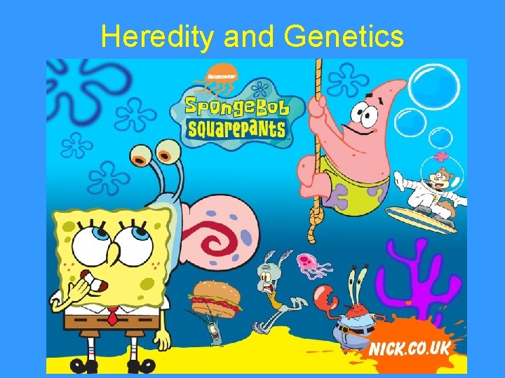 Heredity and Genetics 