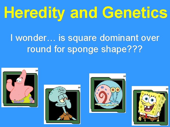 Heredity and Genetics I wonder… is square dominant over round for sponge shape? ?