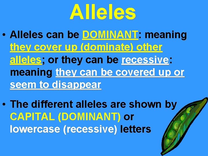 Alleles • Alleles can be DOMINANT: meaning they cover up (dominate) other alleles; or
